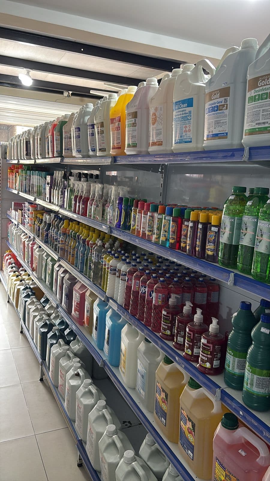 Prateleiras com produtos profissionais de limpeza